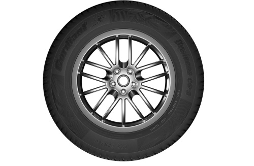 225/70 R15C CORDIANT BUSINESS, CS-2 112-110 R БК Автошина фото в шинном центре Cordiant г. Пятигорск